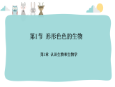 1.1.1形形色色的生物课件----2024-2025学年北师大（2024版）七年级生物上册