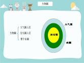 1.1.1形形色色的生物课件----2024-2025学年北师大（2024版）七年级生物上册