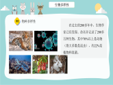 1.1.1形形色色的生物课件----2024-2025学年北师大（2024版）七年级生物上册