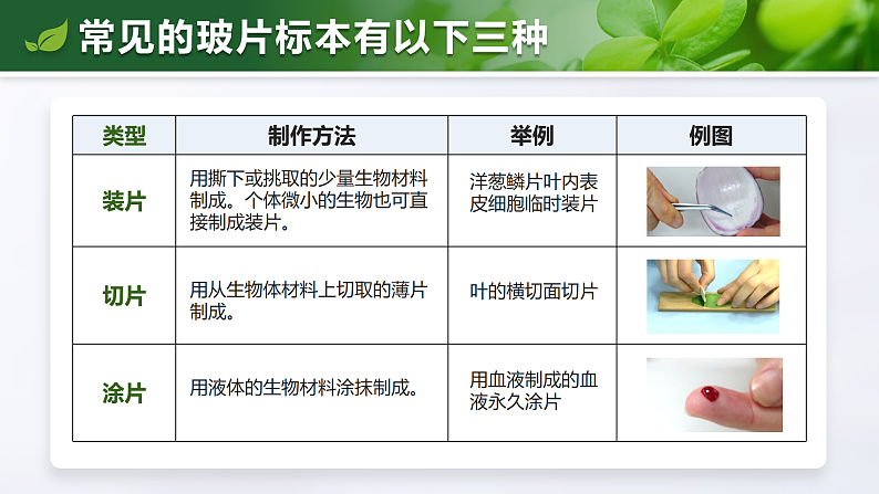 1.2.2 植物细胞-课件第6页