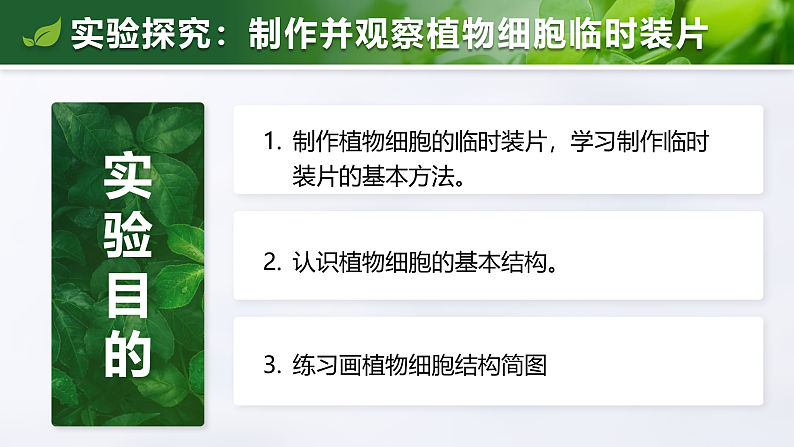 1.2.2 植物细胞-课件第8页