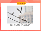 【新课标】科教版物理九上4.3   《电阻：导体对电流的阻碍作用 》   课件