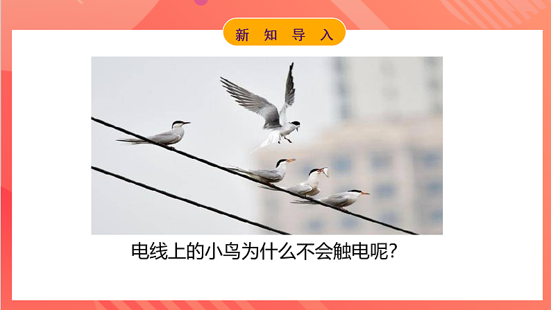 【新课标】科教版物理九上4.3   《电阻：导体对电流的阻碍作用 》   课件第5页