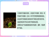 【新课标】冀少版生物八上3.1.1《种子萌发的过程》 课件+教案+学案