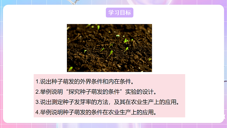 【新课标】冀少版生物八上3.1.2《种子萌发的条件》课件第2页