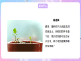 【新课标】冀少版生物八上3.1.2《种子萌发的条件》课件+教案+学案