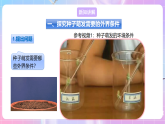 【新课标】冀少版生物八上3.1.2《种子萌发的条件》课件+教案+学案