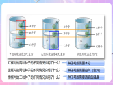 【新课标】冀少版生物八上3.1.2《种子萌发的条件》课件+教案+学案
