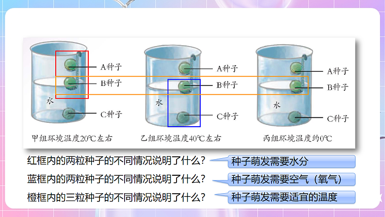 【新课标】冀少版生物八上3.1.2《种子萌发的条件》课件第5页