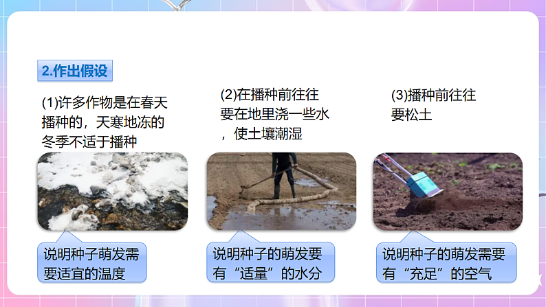 【新课标】冀少版生物八上3.1.2《种子萌发的条件》课件第7页