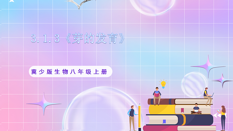 【新课标】冀少版生物八上3.1.3《芽的发育》 课件第1页