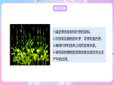 【新课标】冀少版生物八上3.1.3《芽的发育》 课件+教案+学案