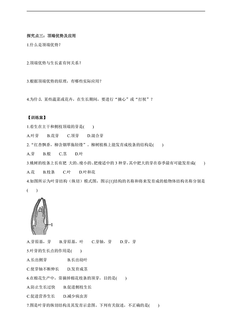 【新课标】冀少版生物八上3.1.3《芽的发育》学案第2页