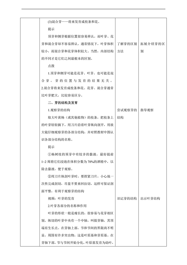 【新课标】冀少版生物八上3.1.3《芽的发育》教案第2页
