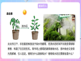 【新课标】冀少版生物八上3.2.2《根对水分的吸收》 课件+教案+学案