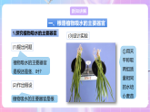 【新课标】冀少版生物八上3.2.2《根对水分的吸收》 课件+教案+学案