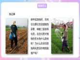 【新课标】冀少版生物八上3.2.3《无机盐与植物的生长》 课件+教案+学案