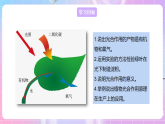 【新课标】冀少版生物八上3.3.1《光合作用的产物》课件+教案+学案
