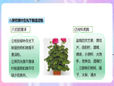 【新课标】冀少版生物八上3.3.1《光合作用的产物》课件+教案+学案
