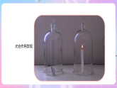 【新课标】冀少版生物八上3.3.2《光合作用的原料》课件+教案+学案
