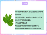 【新课标】冀少版生物八上3.3.3《光合作用的场所》课件+教案+学案