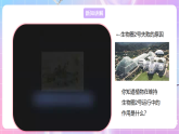 【新課標(biāo)】冀少版生物八上3.5《綠色植物在生物圈中的作用》課件+教案+學(xué)案