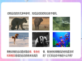 【新課標(biāo)】冀少版生物八上4.1.1《運動的基礎(chǔ)》課件+教案+學(xué)案