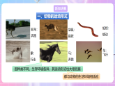 【新課標(biāo)】冀少版生物八上4.1.1《運動的基礎(chǔ)》課件+教案+學(xué)案
