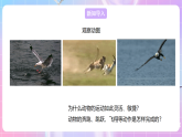【新課標(biāo)】冀少版生物八上4.1.2《運動的完成》課件+教案+學(xué)案