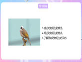 【新课标】冀少版生物八上4.2.1《动物行为的特点》课件+教案+学案