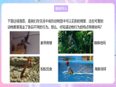【新课标】冀少版生物八上4.2.1《动物行为的特点》课件+教案+学案