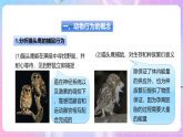 【新课标】冀少版生物八上4.2.1《动物行为的特点》课件+教案+学案