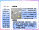 【新課標(biāo)】冀少版生物八上4.2.2《動物行為的類型》課件+教案+學(xué)案