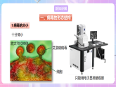 【新课标】冀少版生物八上5.1.2《病毒》课件+教案+学案