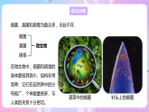 【新课标】冀少版生物八上5.1.1《细菌》第1课时 课件+教案+学案