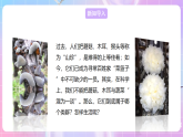 【新课标】冀少版生物八上5.2.2《食用真菌》课件+教案+学案