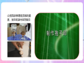 【新课标】冀少版生物八上5.2.2《食用真菌》课件+教案+学案