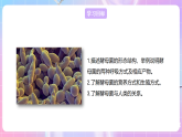 【新課標(biāo)】冀少版生物八上5.2.1《酵母菌和霉菌--1酵母菌》課件+教案+學(xué)案