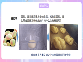 【新課標(biāo)】冀少版生物八上5.2.1《酵母菌和霉菌--1酵母菌》課件+教案+學(xué)案