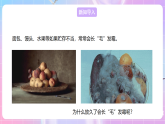 【新課標(biāo)】冀少版生物八上5.2.1《酵母菌和霉菌--2霉菌》課件+教案+學(xué)案