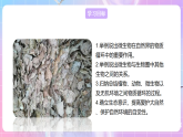 【新课标】冀少版生物八上5.4《微生物在生物圈中的作用》课件+教案+学案