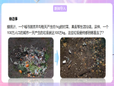 【新课标】冀少版生物八上5.4《微生物在生物圈中的作用》课件+教案+学案