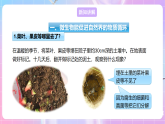【新课标】冀少版生物八上5.4《微生物在生物圈中的作用》课件+教案+学案