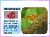 【新课标】冀少版生物八上5.4《微生物在生物圈中的作用》课件+教案+学案
