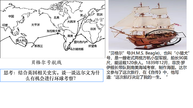 16323793第7页