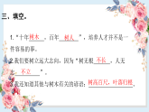 人教部编版语文(2024秋)二年级上册识字2 树之歌课件