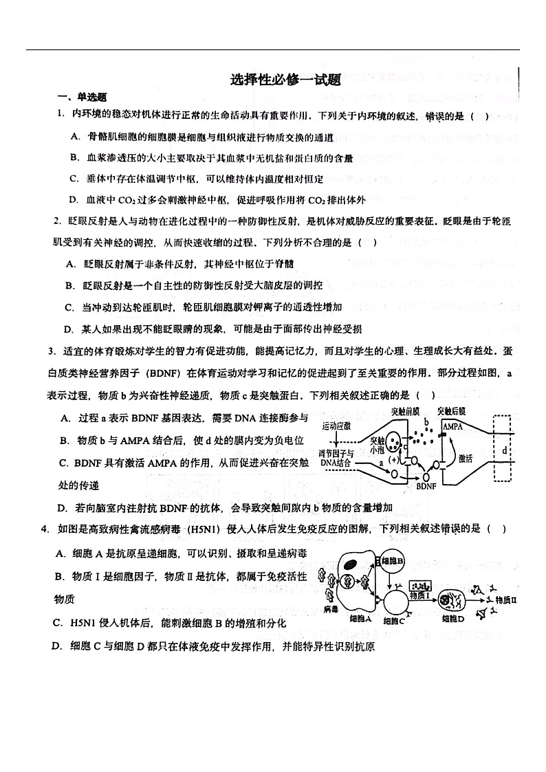 山东省淄博市高青县第一中学2024-2025学年高二上学期期中考试生物试题 第1页