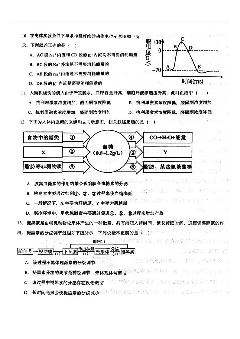 山东省淄博市高青县第一中学2024-2025学年高二上学期期中考试生物试题 第3页