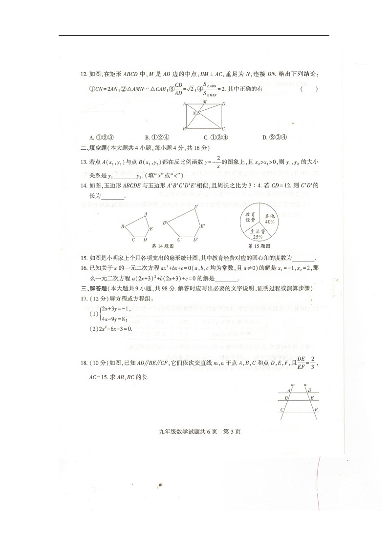 贵州省铜仁市石阡县2024-2025学年九年级上学期期中检测数学试题第3页