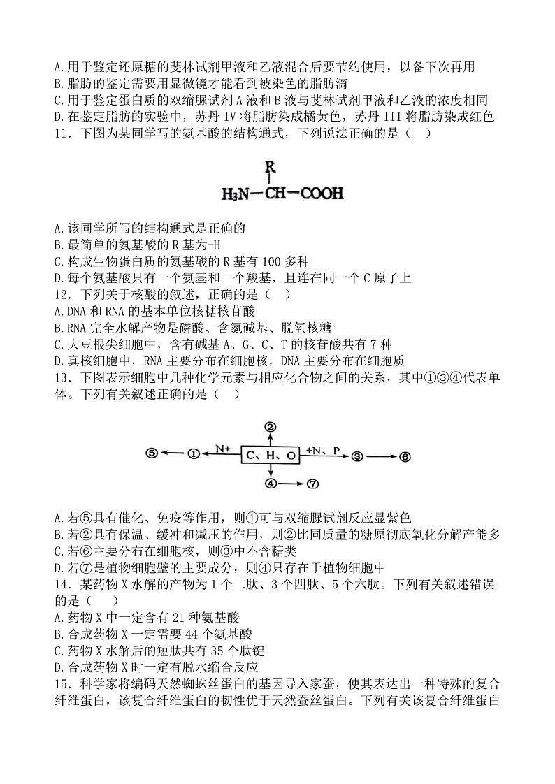 甘肃省张掖市部分学校2024-2025学年高一上学期期中考试生物试卷第3页